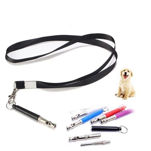 Adjustable pet dogs training - dogs,
